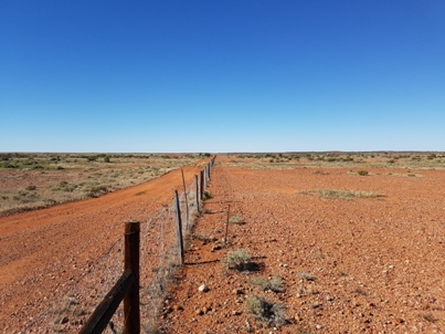 Desert
