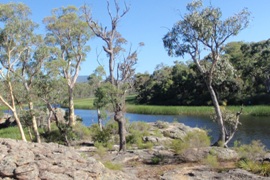 Freshwater